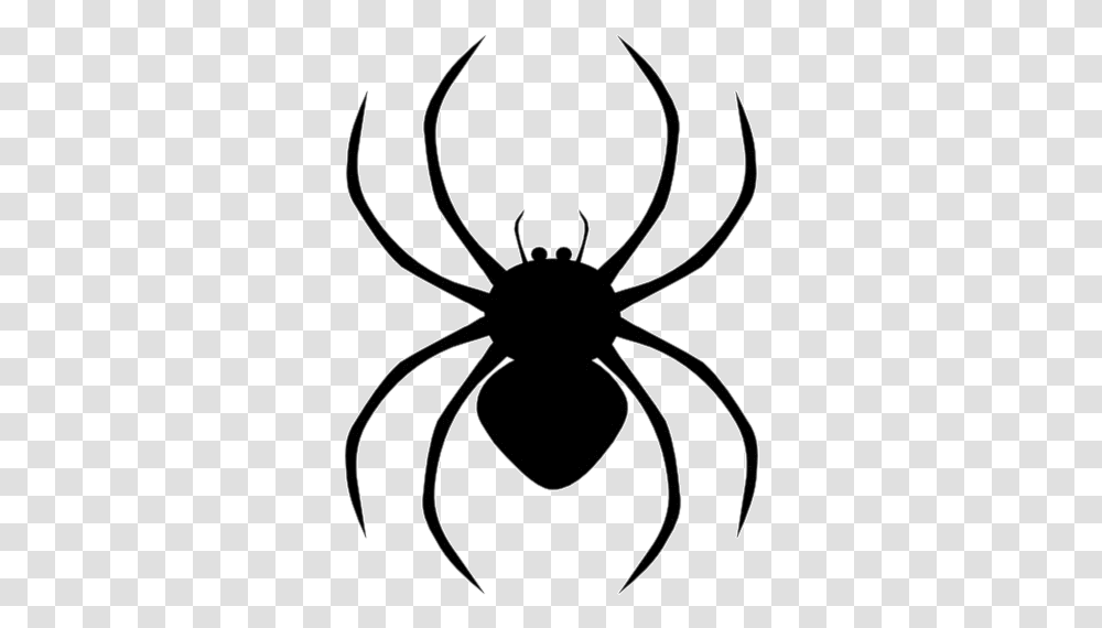 Spider Hd Clipart X Spider, Sea Life, Animal, Food, Seafood Transparent Png