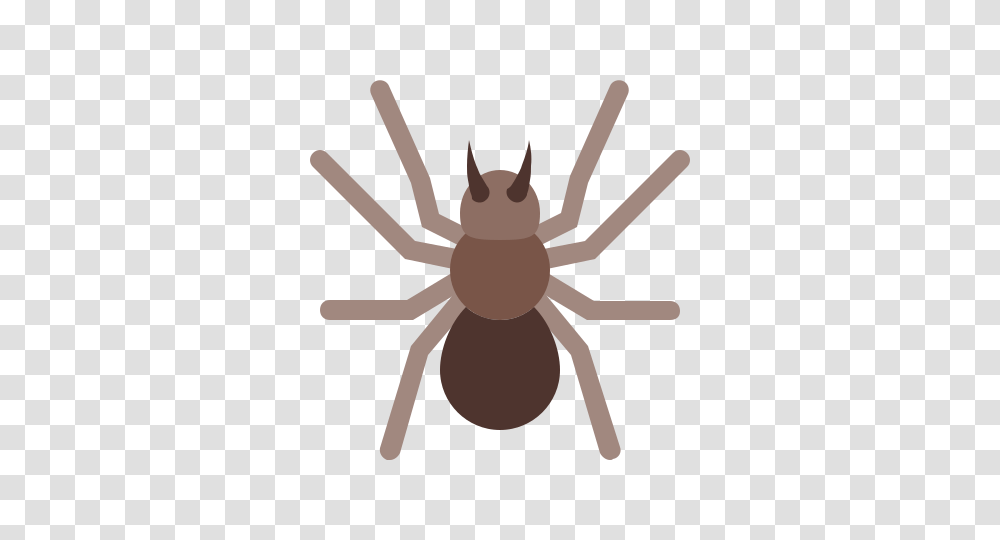 Spider Icon Free Download And Vector Insect, Invertebrate, Animal, Arachnid, Airplane Transparent Png