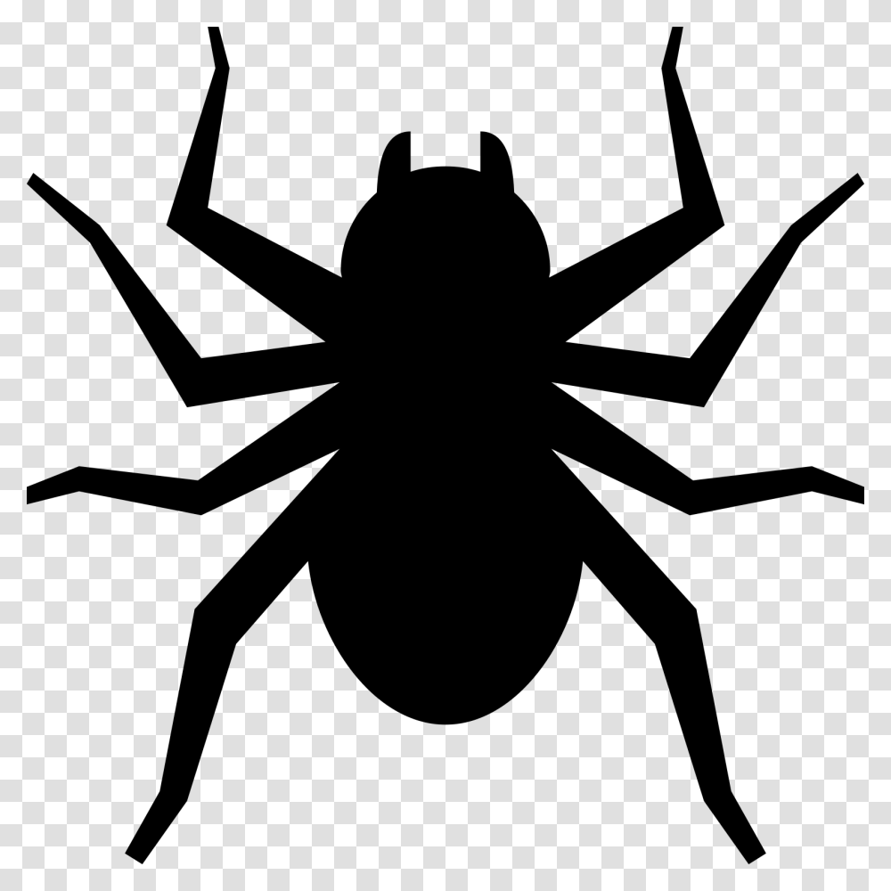 Spider Icon, Gray, World Of Warcraft Transparent Png