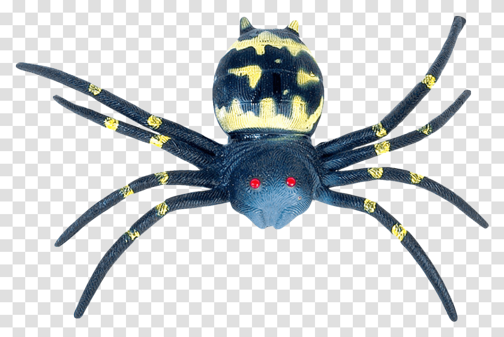 Spider Image Blue Spider, Invertebrate, Animal, Bird, Garden Spider Transparent Png