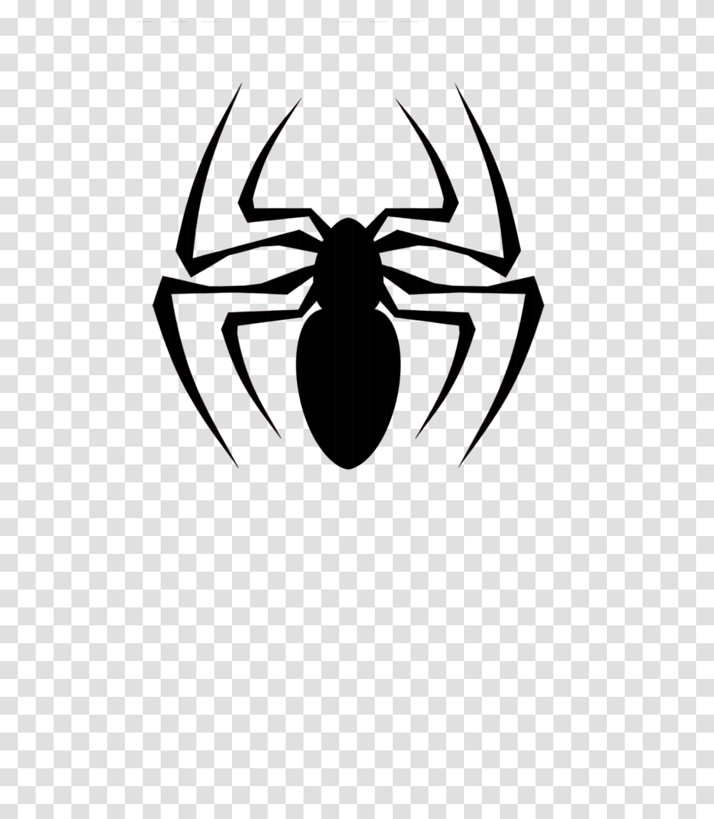 Spider, Insect, Animal, Invertebrate, Arachnid Transparent Png