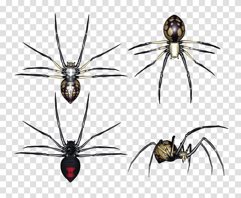 Spider, Insect, Ceiling Fan, Appliance, Animal Transparent Png