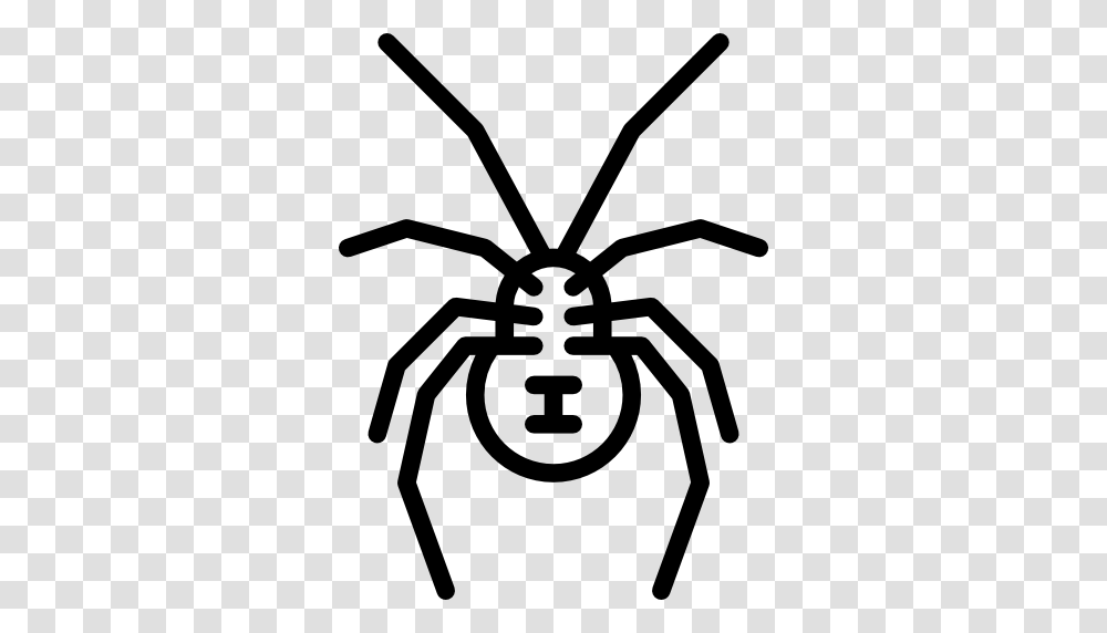 Spider Insect Southern Black Widow Clip Art, Invertebrate, Animal, Arachnid, Lawn Mower Transparent Png