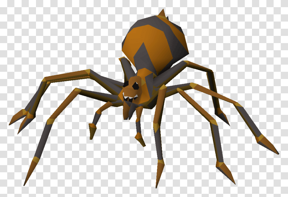 Spider, Invertebrate, Animal, Arachnid, Insect Transparent Png