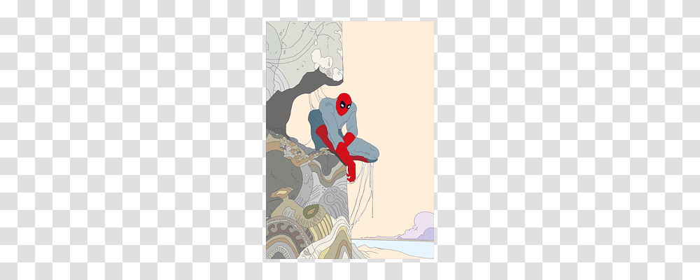 Spider Man Bird, Animal, Drawing Transparent Png