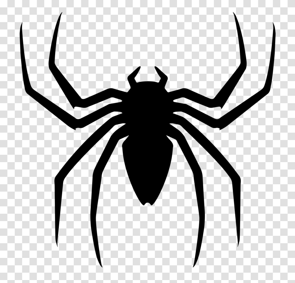 Spider Man Clipart Balck, Gray, World Of Warcraft Transparent Png