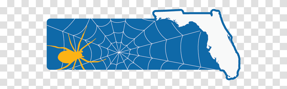 Spider Man May Be From Queens But Many Spiders Love Fl Plot, Spider Web, Rug Transparent Png