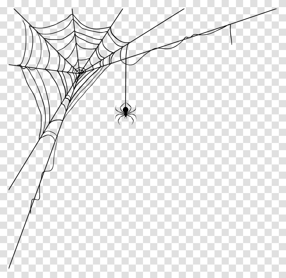 Spider Man Web, Spider Web Transparent Png