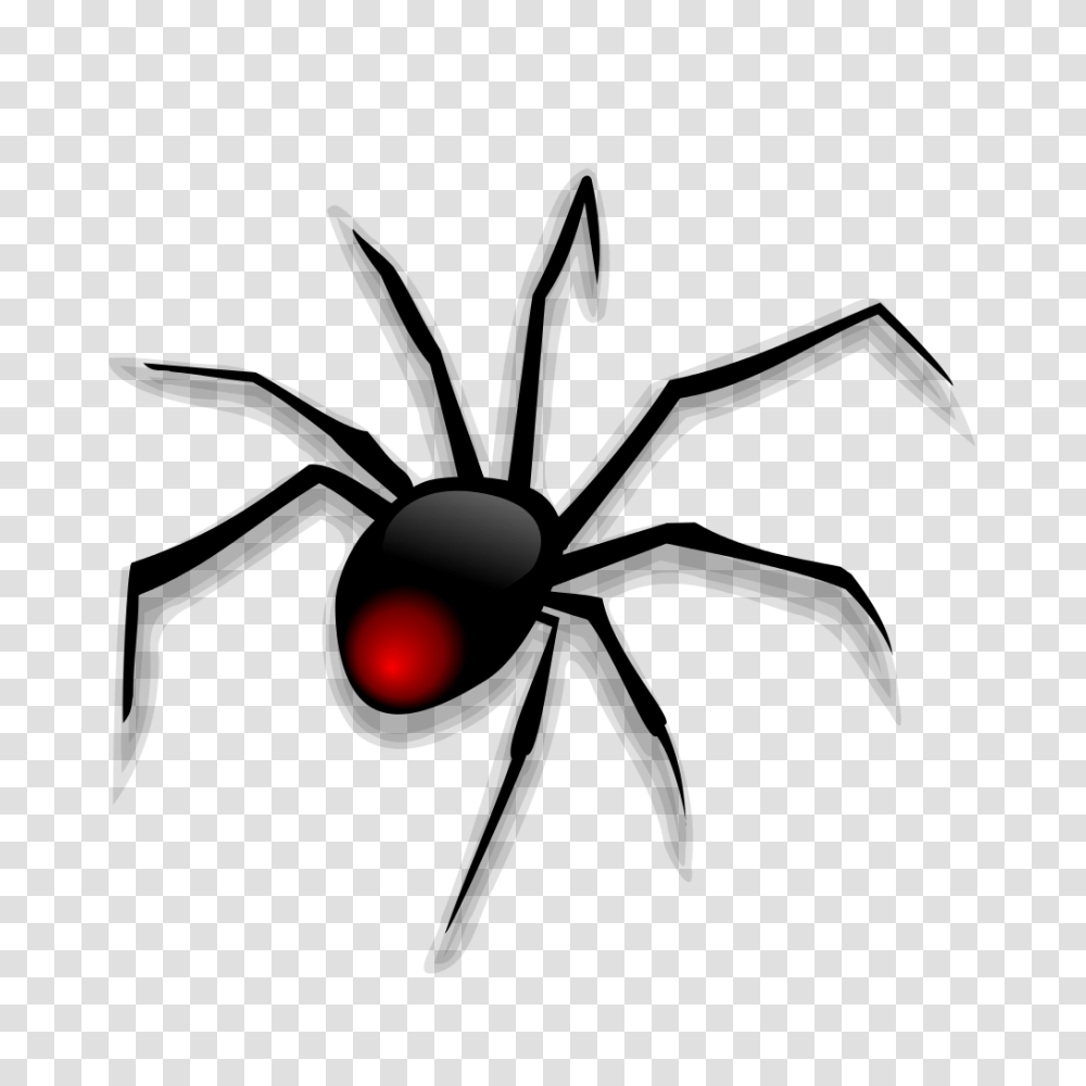 Spider, Nature, Outdoors, Eclipse, Astronomy Transparent Png