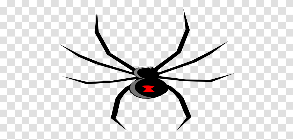 Spider Pics Facts Funny Stuff About Animals Clip Art Image, Black Widow, Insect, Invertebrate, Arachnid Transparent Png