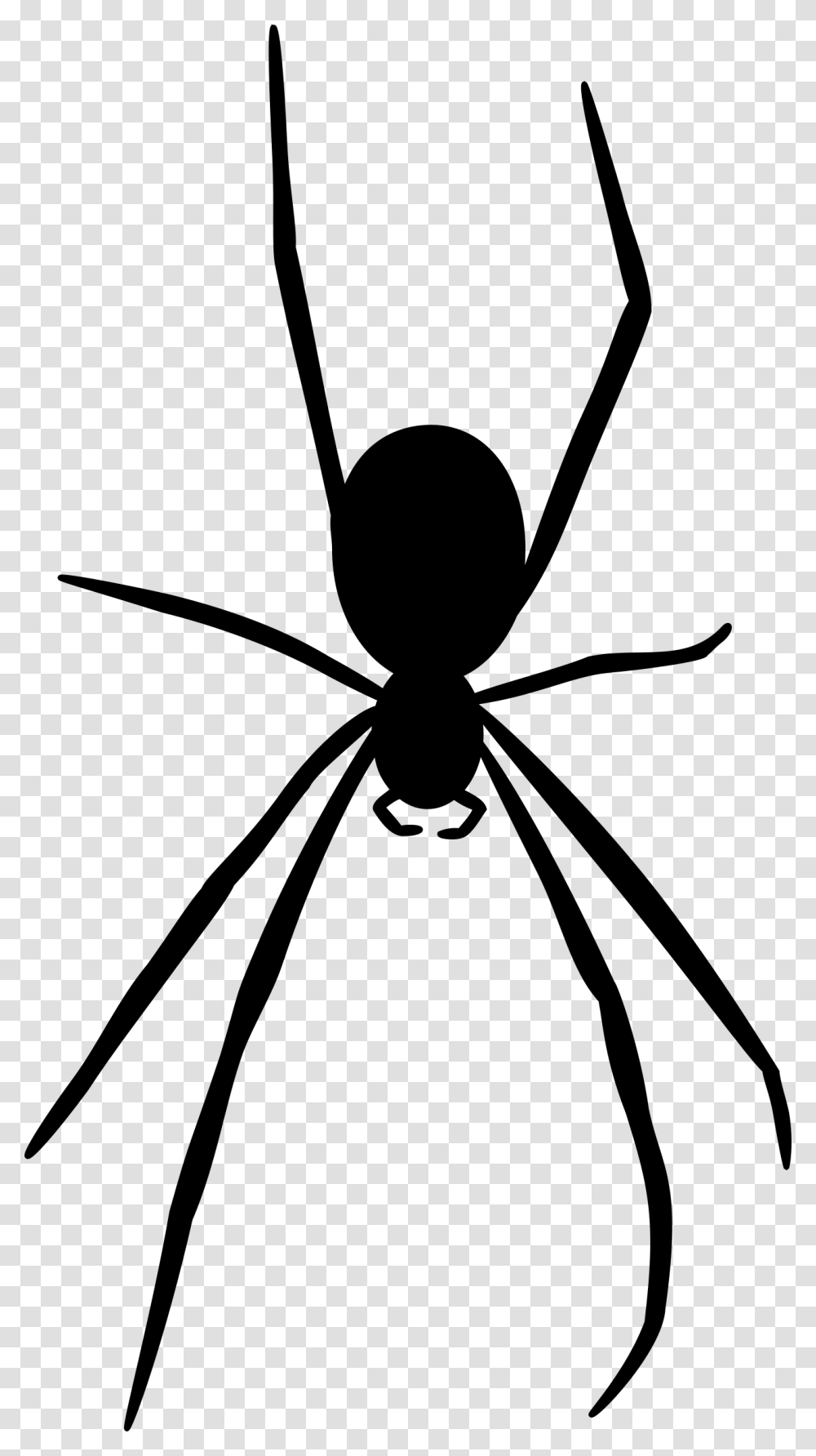 Spider Silhouette Clipart, Gray, World Of Warcraft Transparent Png