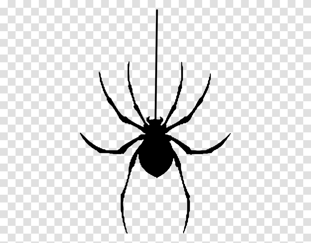 Spider Silhouette Halloween Insect, Gray, World Of Warcraft Transparent Png