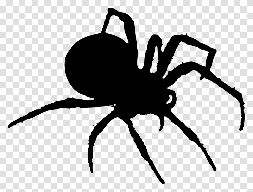 Spider Silhouette Halloween Insects, Gray, World Of Warcraft Transparent Png