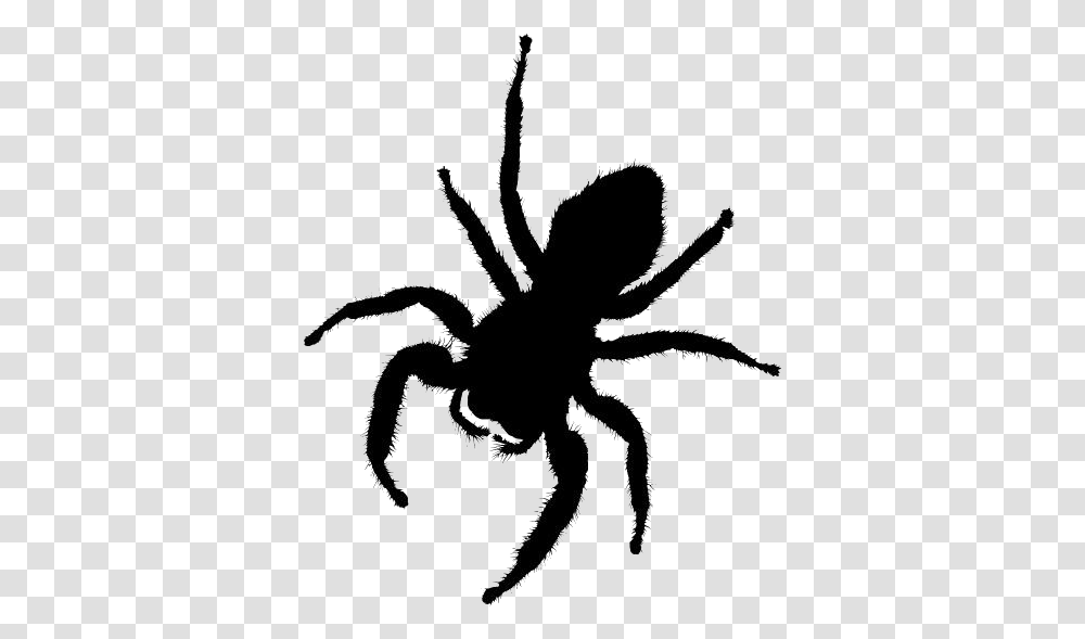 Spider Silhouette Spider Image Fantasy Spider, Seafood, Sea Life, Animal, Crab Transparent Png