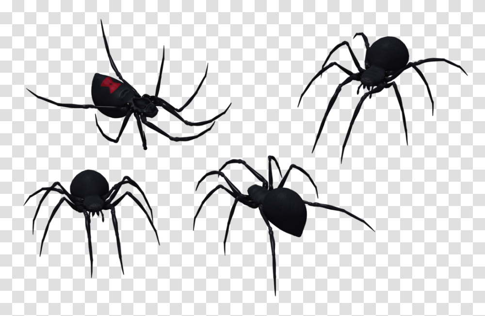 Spider Southern Black Widow Clip Art, Invertebrate, Animal, Insect, Arachnid Transparent Png