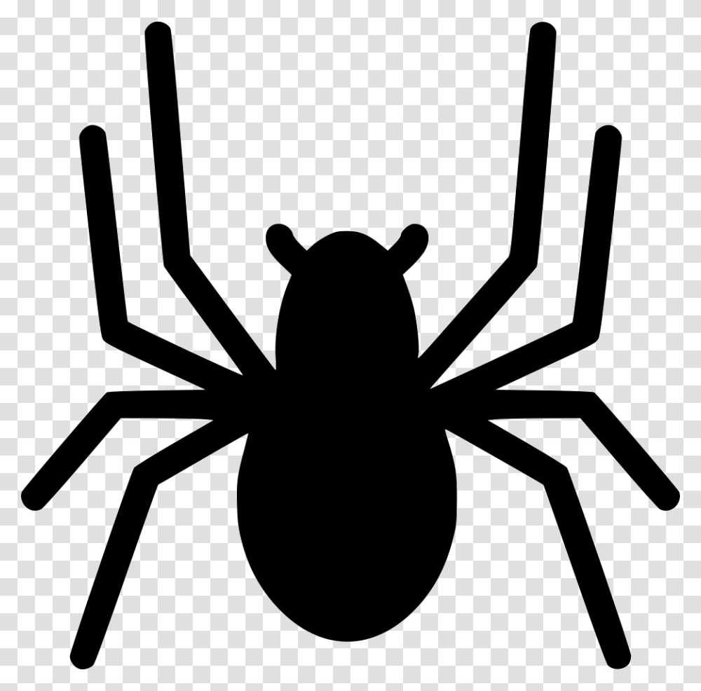 Spider Spider Clipart, Black Widow, Insect, Invertebrate, Animal Transparent Png