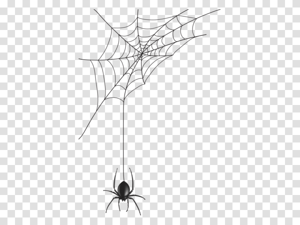 Spider, Spider Web, Invertebrate, Animal, Arachnid Transparent Png
