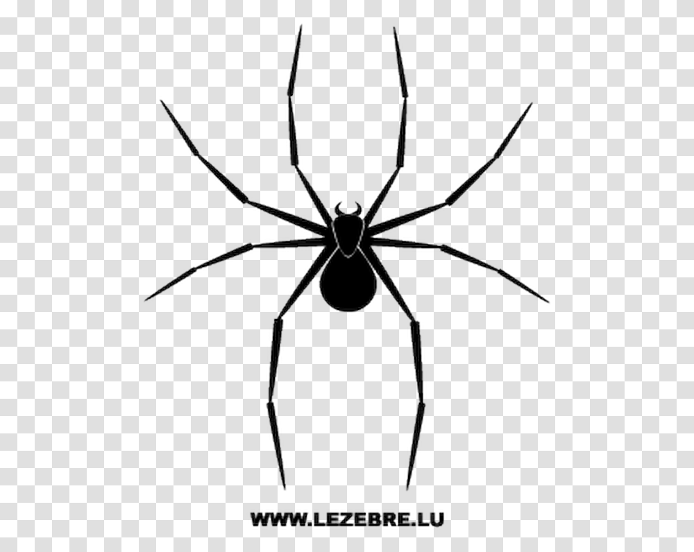 Spider Vector, Invertebrate, Animal, Bow, Arachnid Transparent Png