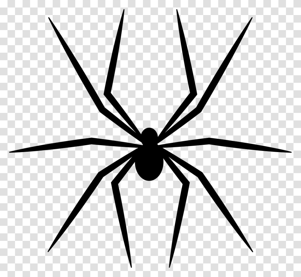 Spider Vector, Invertebrate, Animal, Insect, Arachnid Transparent Png