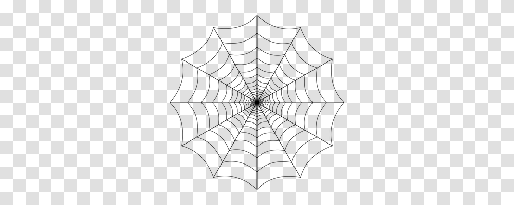 Spider Web Nature, Gray, World Of Warcraft Transparent Png