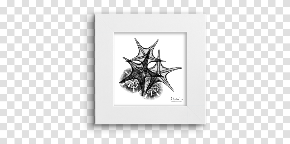 Spider Web, Drawing, Doodle Transparent Png