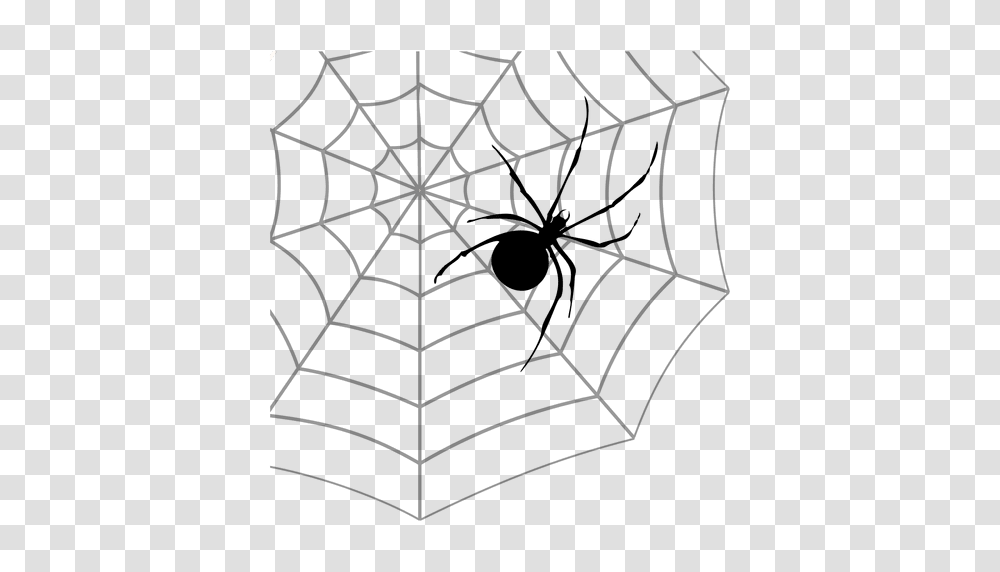 Spider Web, Bird, Animal, Invertebrate, Arachnid Transparent Png