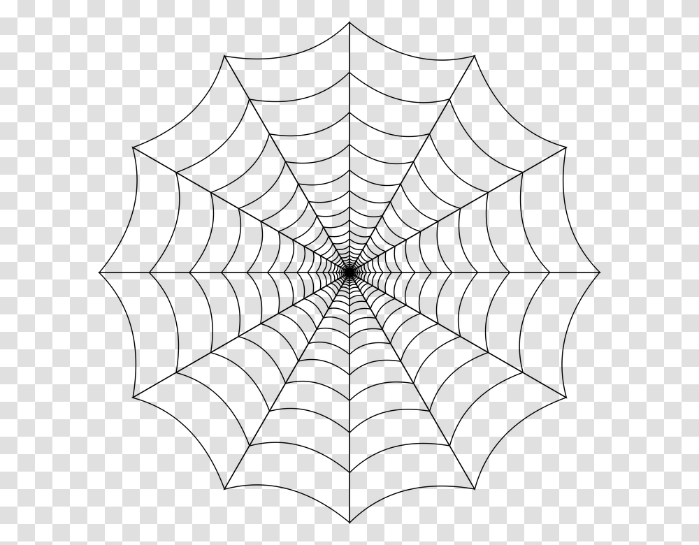 Spider Web Cobweb Spider Web Nature Trap Insect Background Spiderweb, Gray, World Of Warcraft, Halo, Legend Of Zelda Transparent Png