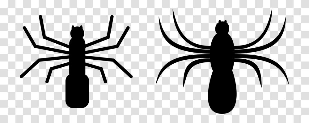 Spider Web Computer Icons Drawing Download, Gray, World Of Warcraft Transparent Png