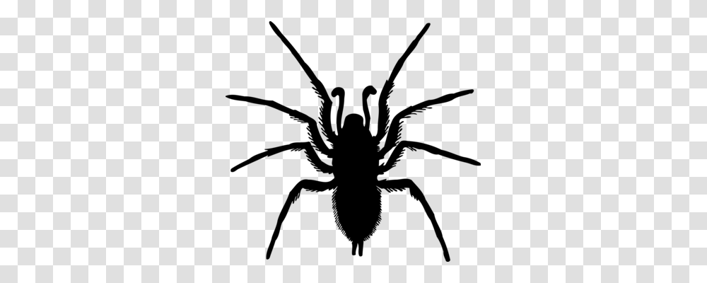 Spider Web Computer Icons Latrodectus Hesperus, Gray, World Of Warcraft Transparent Png