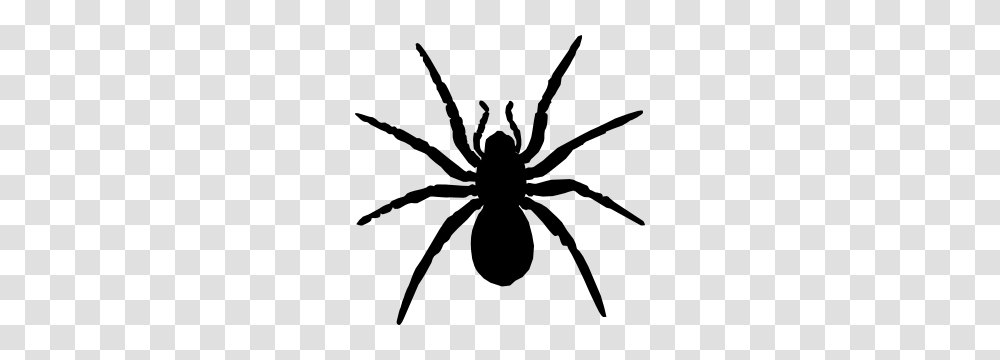 Spider Web Corner Sticker, Invertebrate, Animal, Arachnid, Black Widow Transparent Png