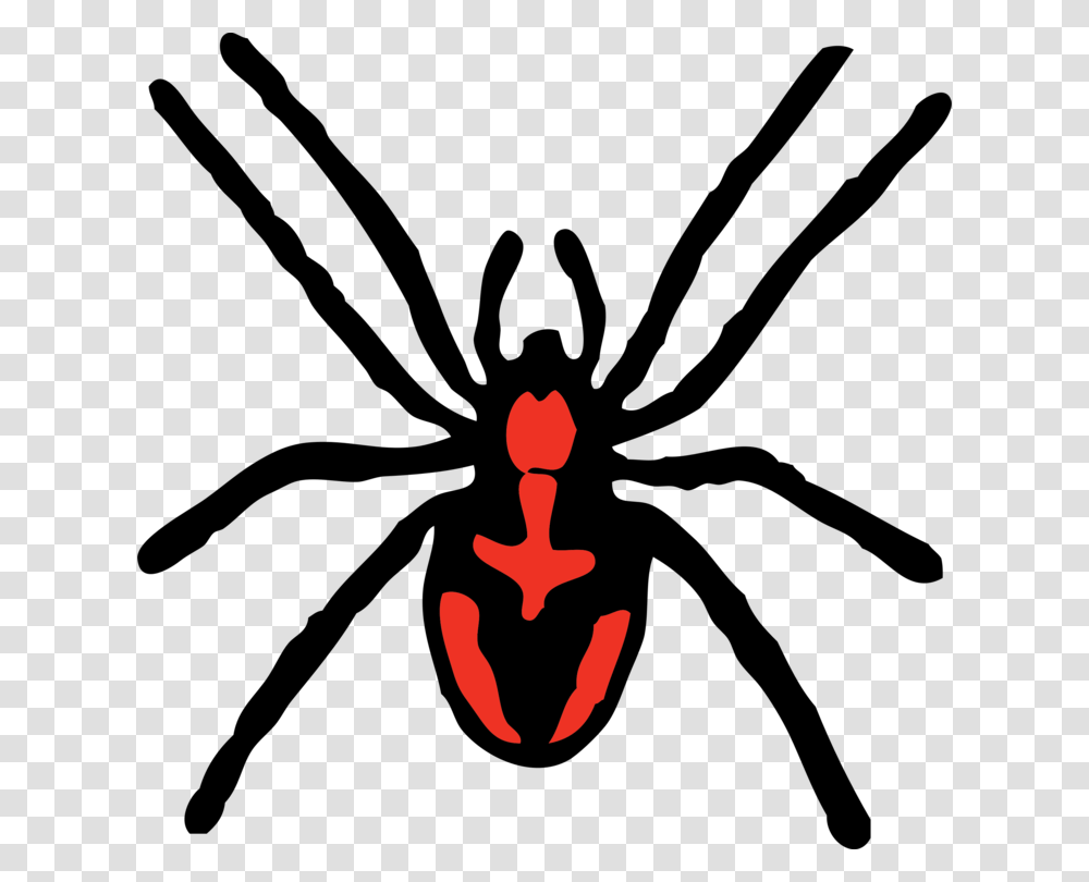 Spider Web Download Tarantula, Logo, Trademark, Hand Transparent Png