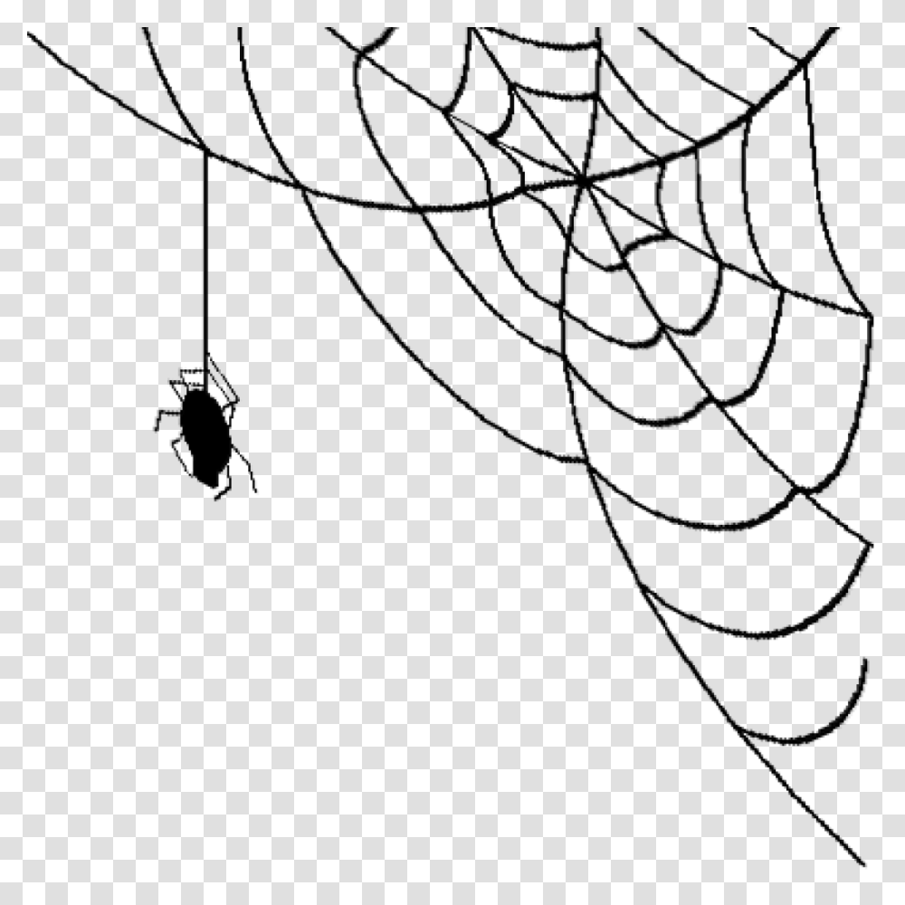 Spider Web Images, Outdoors, Nature, Gray, Flare Transparent Png