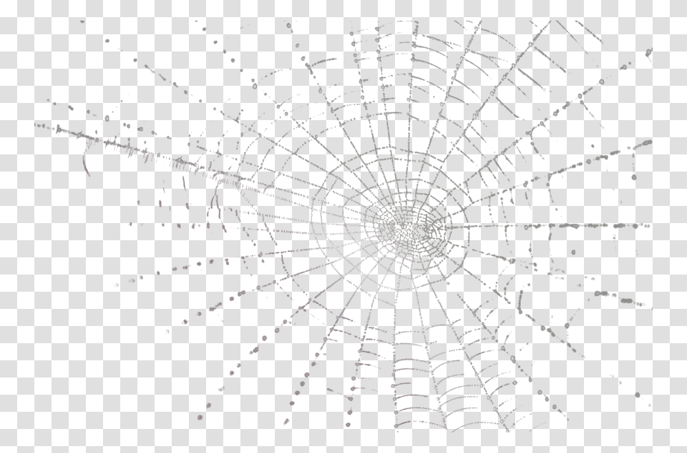 Spider Web Psd, Rug Transparent Png