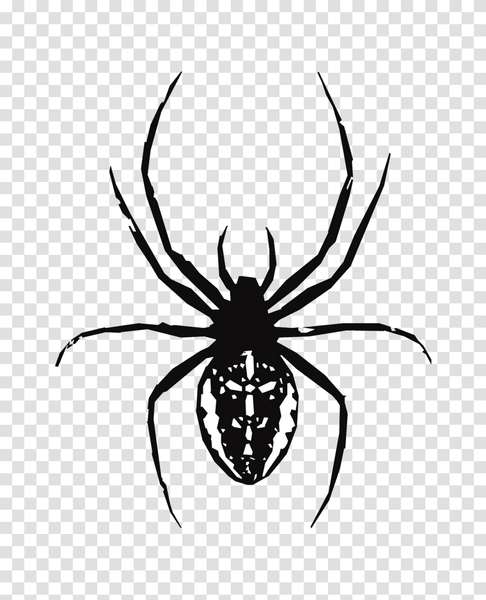 Spider Web Southern Black Widow Clip Art, Insect, Invertebrate, Animal, Arachnid Transparent Png