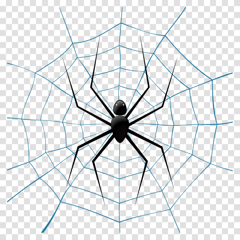 Spider Web Theridiidae Euclidean Vector Illustration Fondo Azul Con Transparent Png