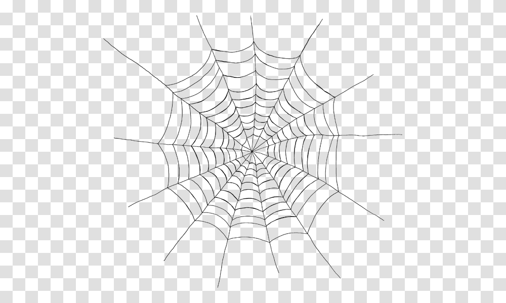 Spider Web Transparent Png