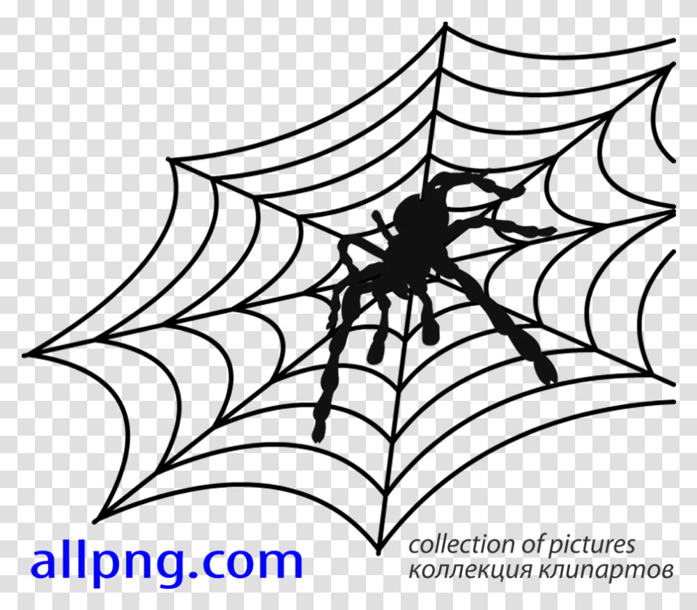 Spider Web Vector, Silhouette, Invertebrate, Animal Transparent Png