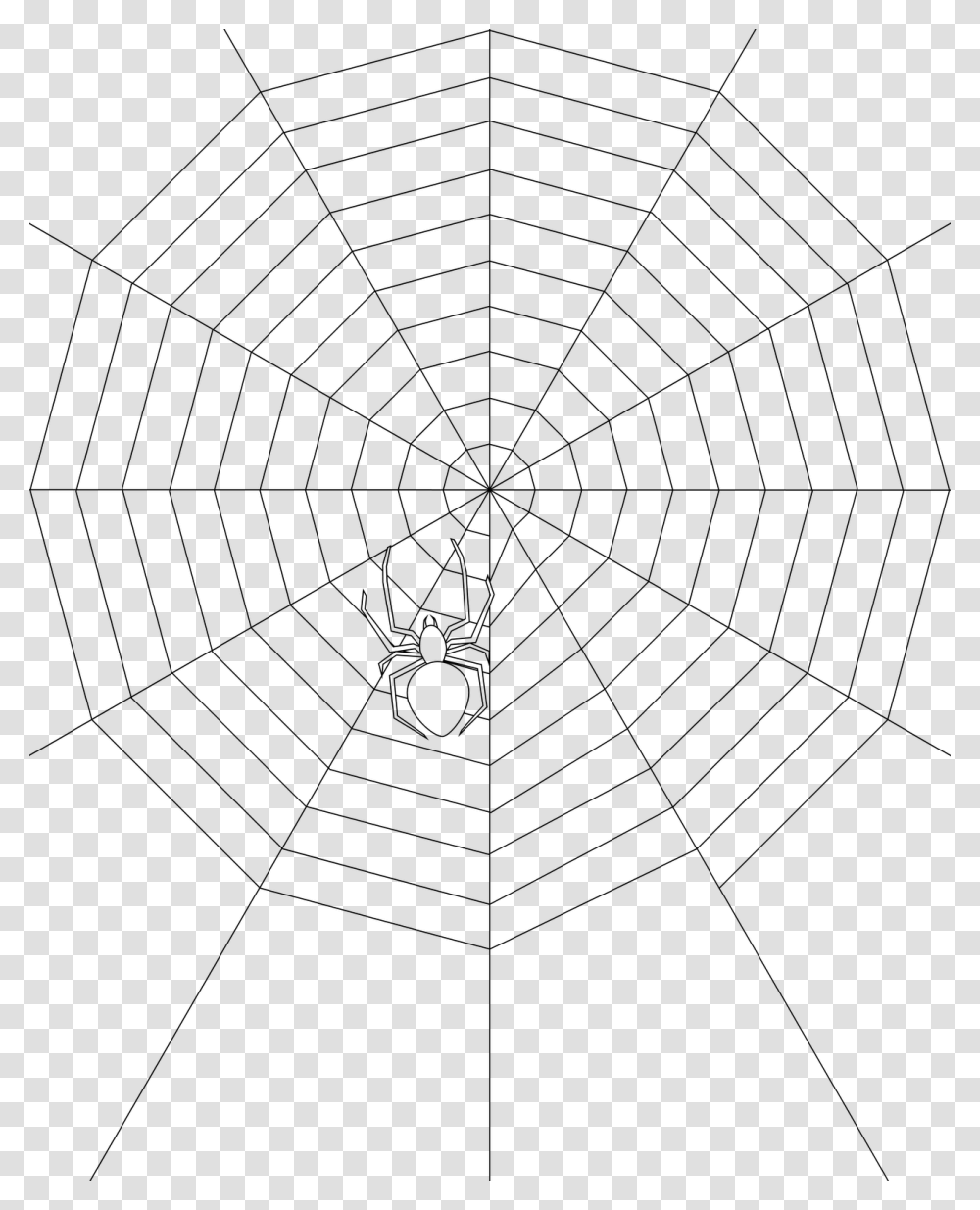 Spider Webs Orb Weaver Web Drawing, Gray, World Of Warcraft Transparent Png