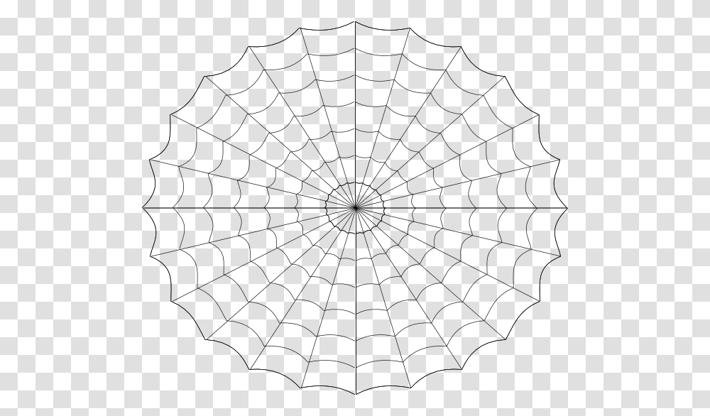 Spider Webs Tela De Transparent Png