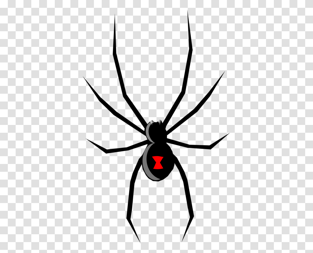 Spider Western Black Widow Southern Black Widow Drawing Brown, Animal, Light, Blackbird Transparent Png