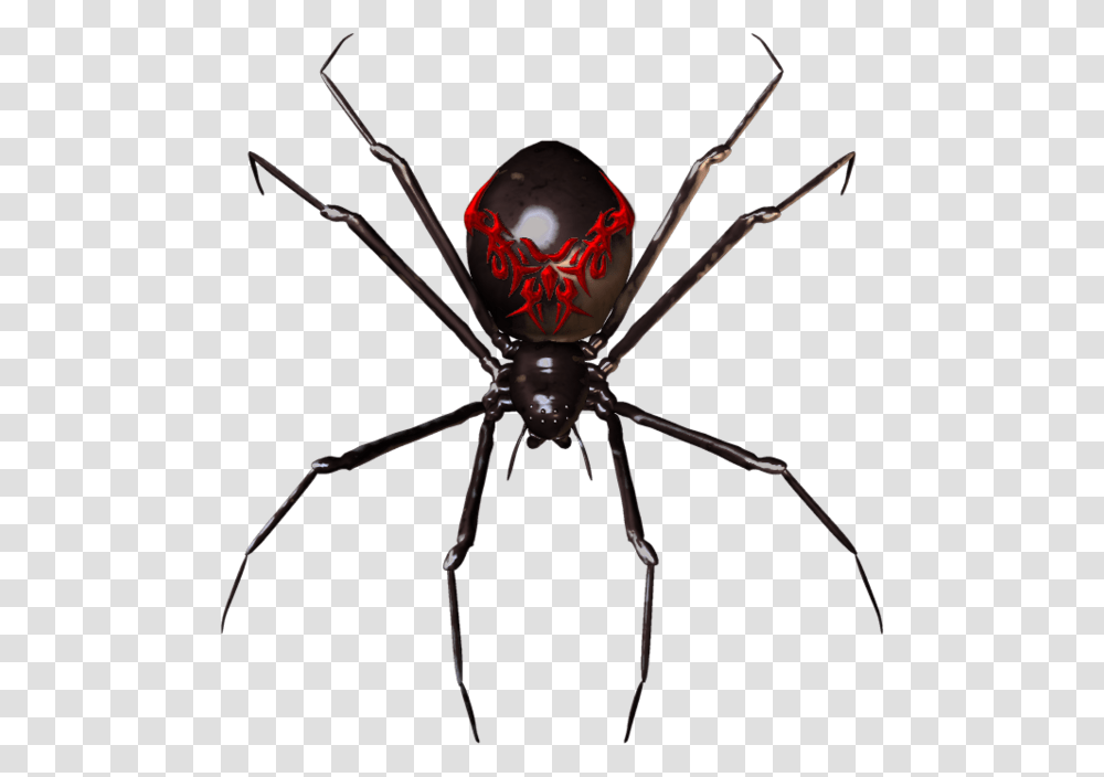 Spider Widget Clip Art, Invertebrate, Animal, Arachnid, Black Widow Transparent Png