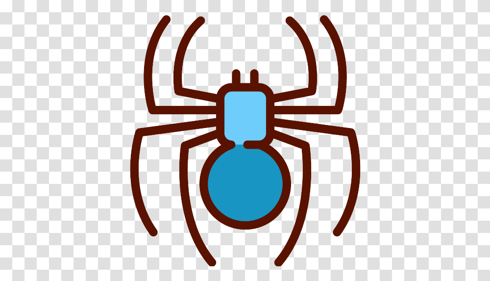 Spider Widow Spiders, Invertebrate, Animal, Insect, Black Widow Transparent Png