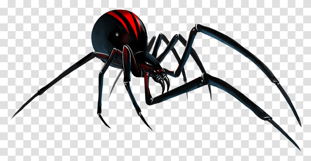 Spiderblack Spider Background Black Widow Spider, Bow, Animal, Invertebrate, Insect Transparent Png