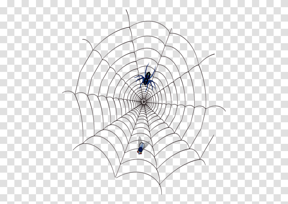 Spidercobweb Con Su Presa, Spider Web, Bird, Animal, Rug Transparent Png
