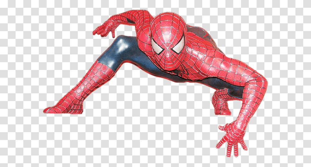 Spiderman, Animal, Person, People, Sea Life Transparent Png