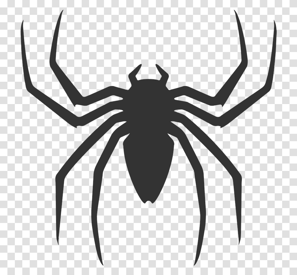 Spiderman Back Spider Logo Spider Man 2 2004 Spider Logo, Invertebrate, Animal, Insect, Arachnid Transparent Png