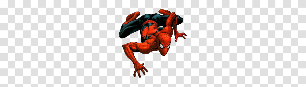 Spiderman, Character, Animal, Person, Wildlife Transparent Png