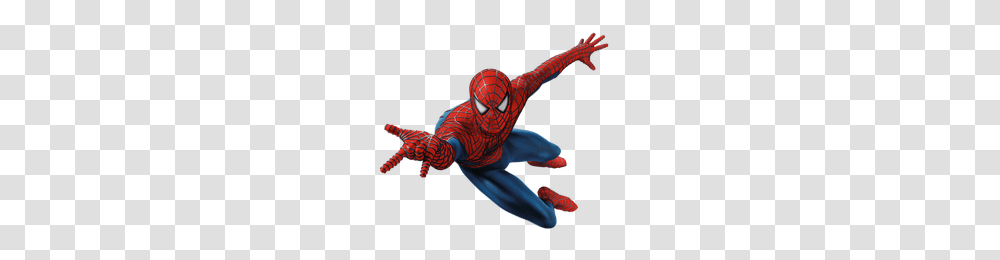 Spiderman, Character, Sea Life, Animal, Person Transparent Png