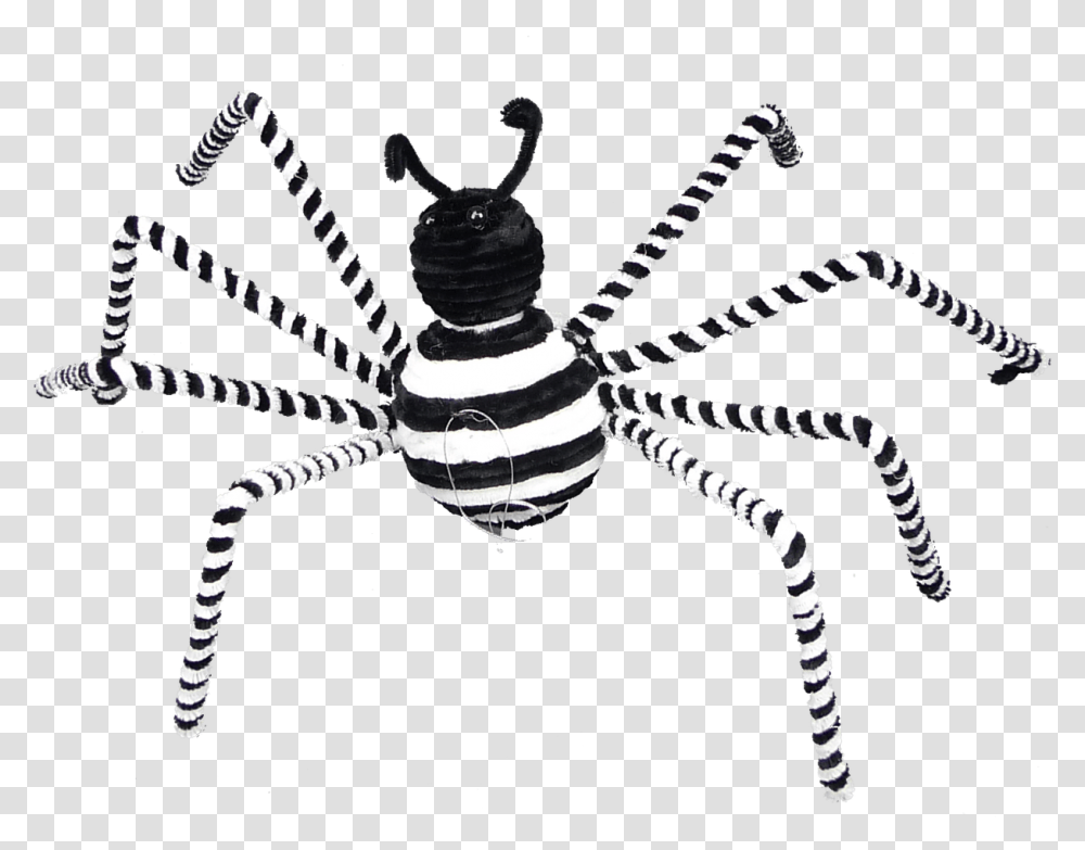 Spiders Black And White, Invertebrate, Animal, Insect, Arachnid Transparent Png