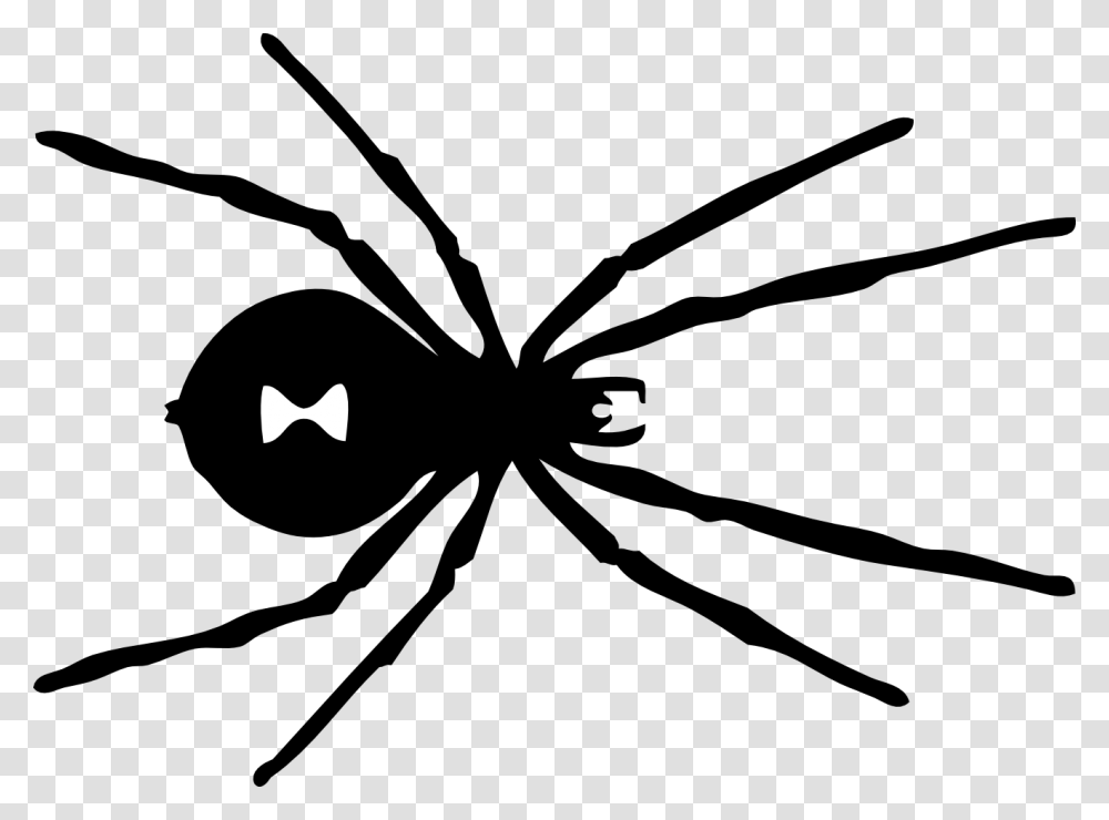 Spiders Clipart Black And White Clip Art Images, Bow, Animal, Invertebrate, Black Widow Transparent Png